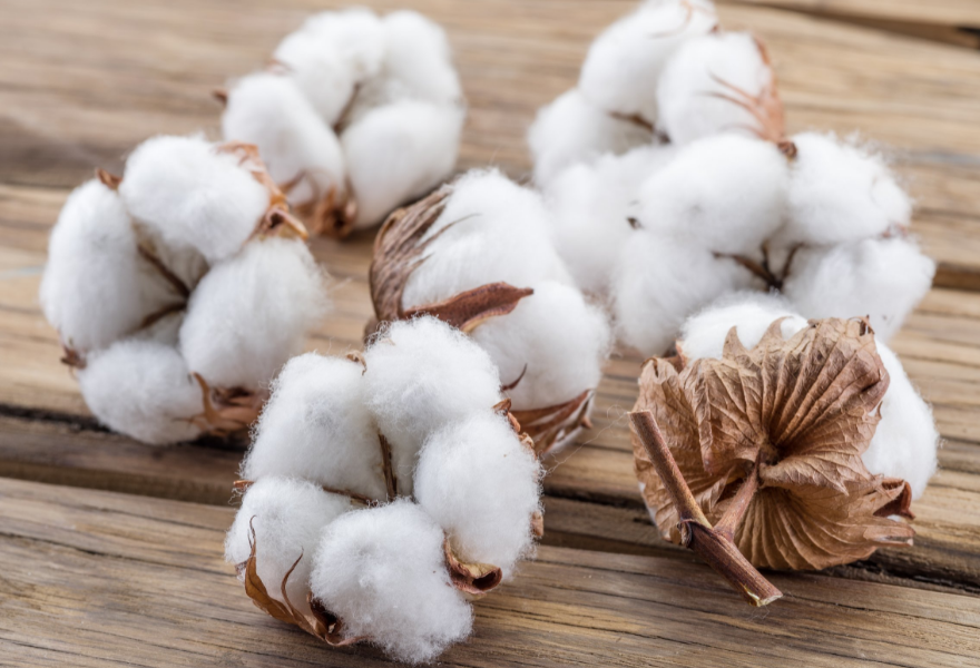 The Importance of Organic Cotton in Kids Clothing
