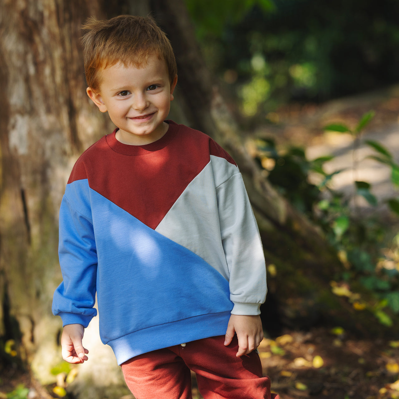 "Grow" Diagonal Sweatshirt - Bordeaux & Blue